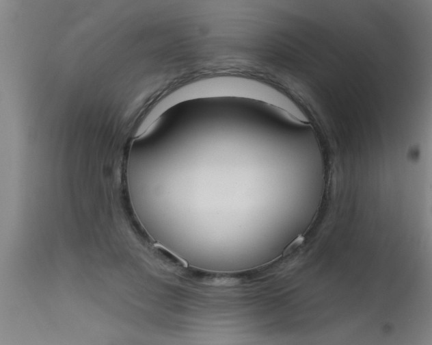 X0000112540501200909071425