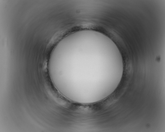 X0000112540502200909071425