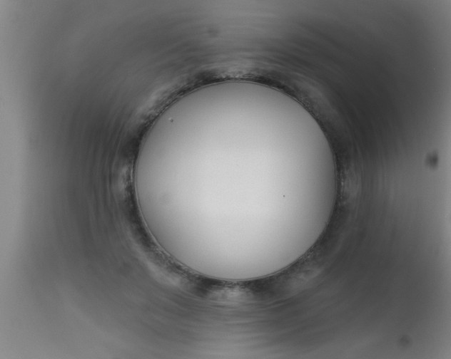 X0000112540503200909071425