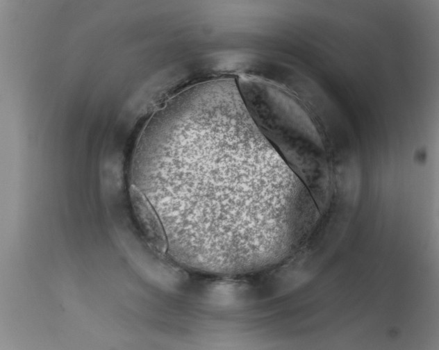 X0000112540504200909071425