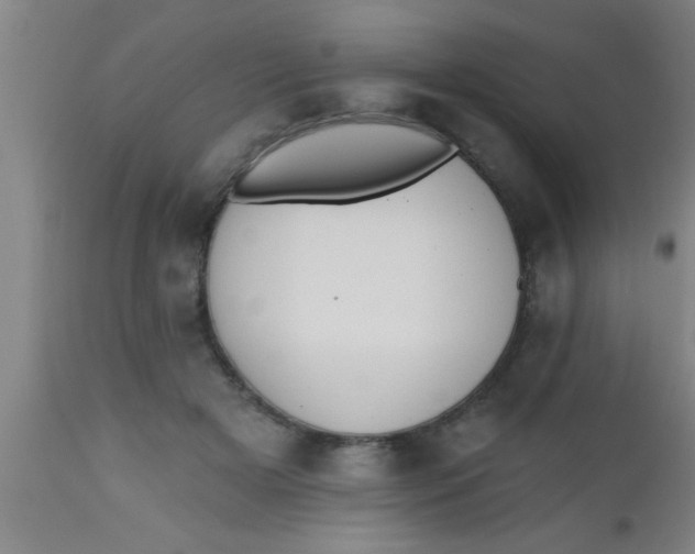 X0000112540505200909071425