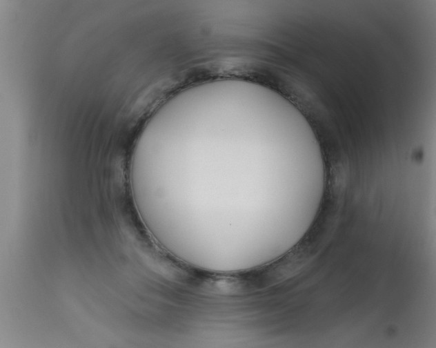 X0000112540506200909071425