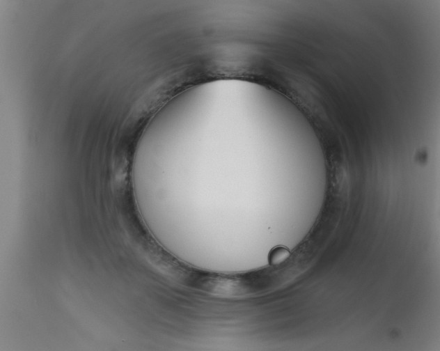 X0000112540507200909071425
