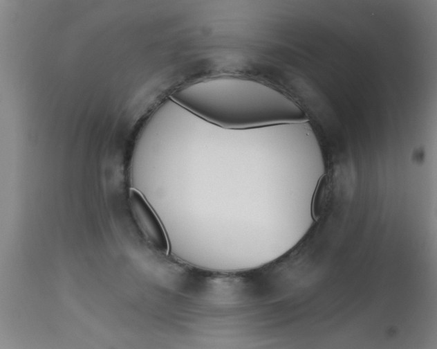 X0000112540508200909071425