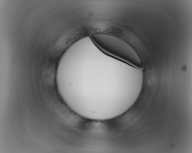 X0000112540509200909071425