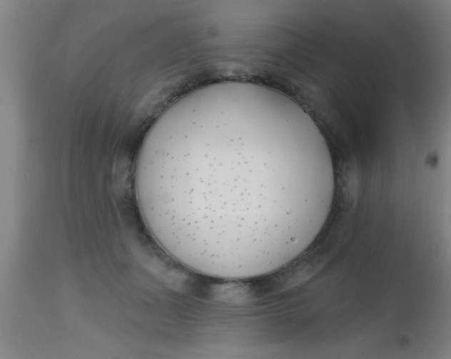 X0000112540511200909071425