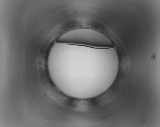 X0000112540512200909071425