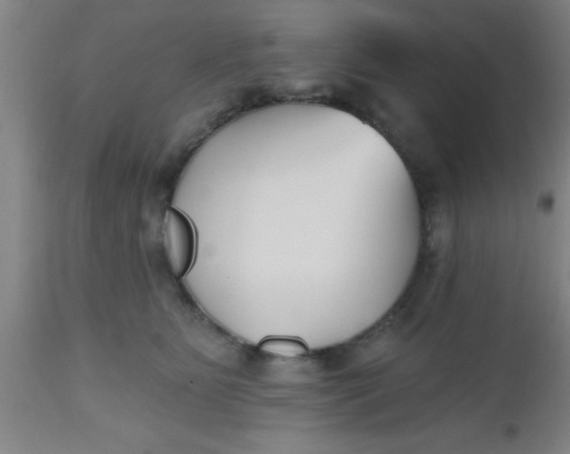 X0000112540515200909071424