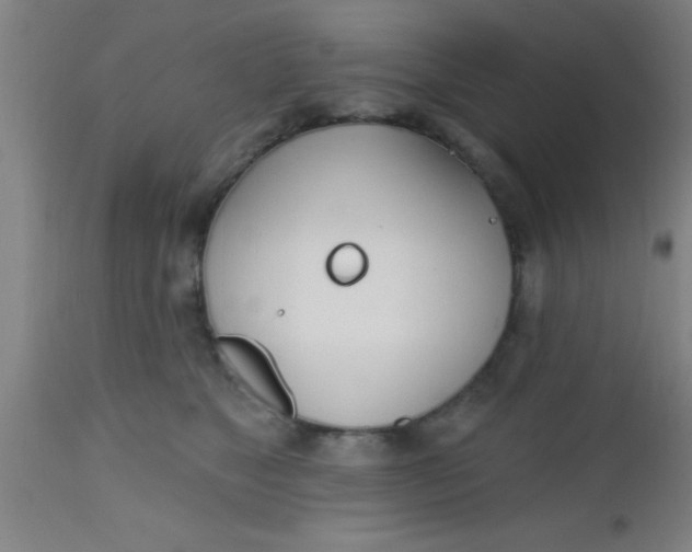 X0000112540517200909071424