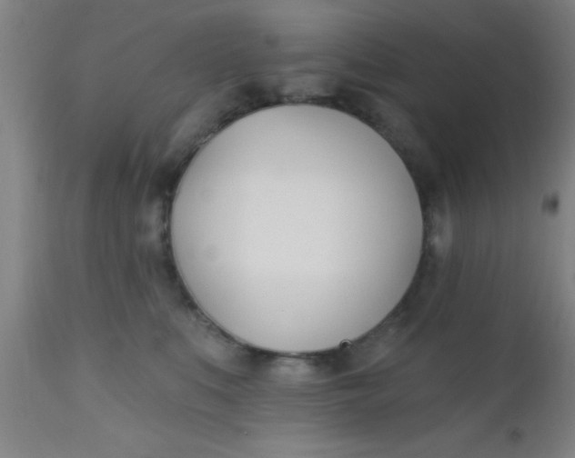 X0000112540519200909071424