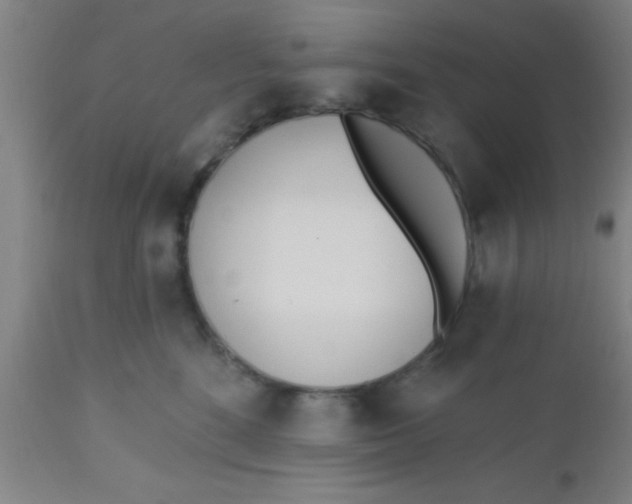 X0000112540520200909071424
