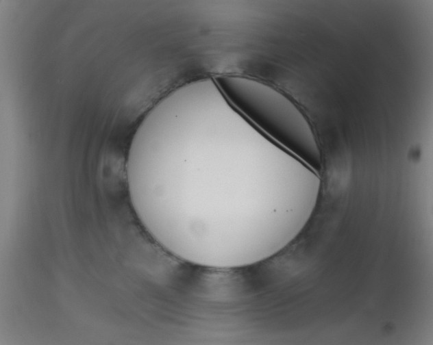 X0000112540521200909071424
