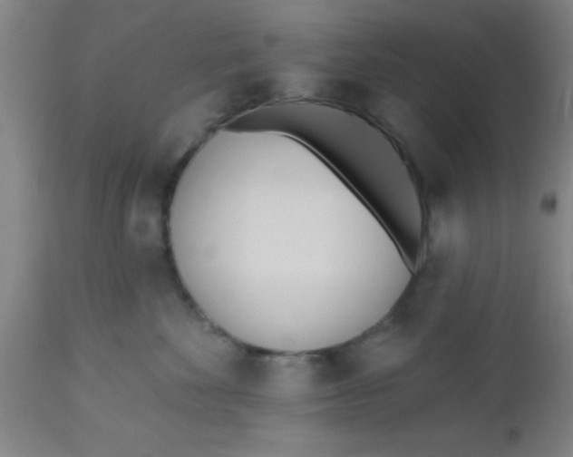 X0000112540524200909071424