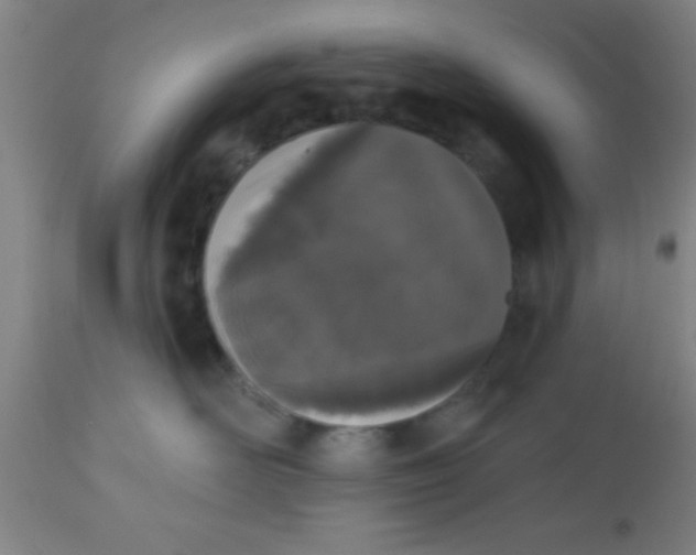 X0000112540526200909071424