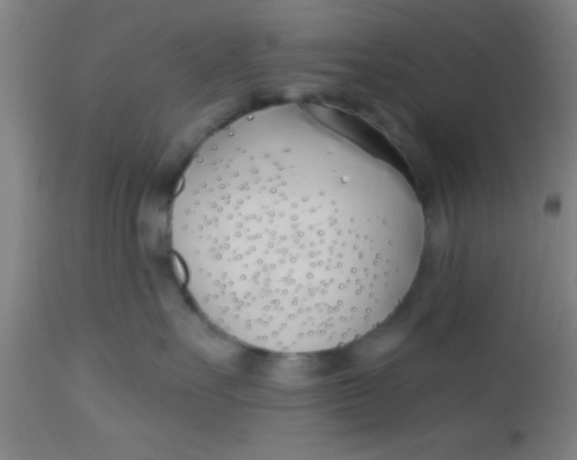 X0000112540527200909071424