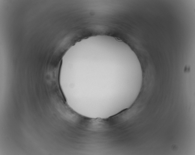 X0000112540528200909071424