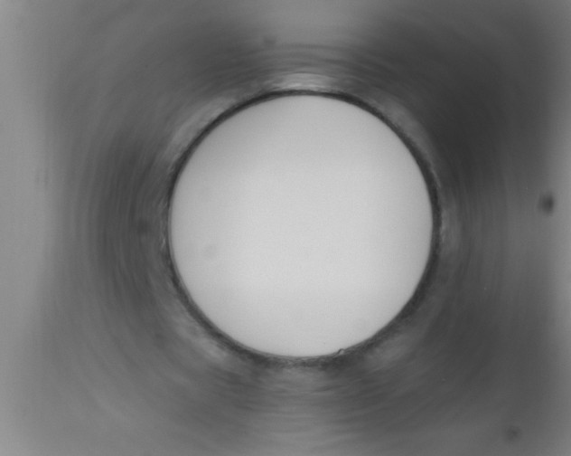 X0000112540529200909071424