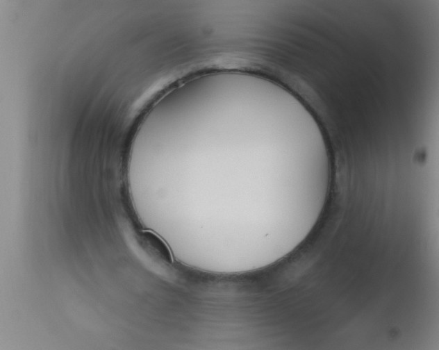 X0000112540530200909071424