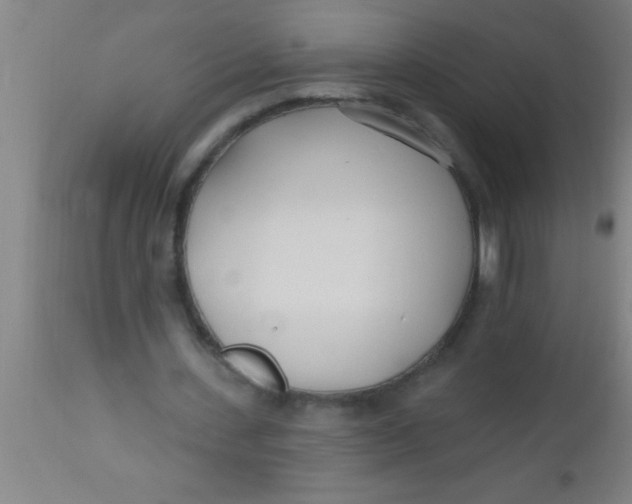 X0000112540531200909071424