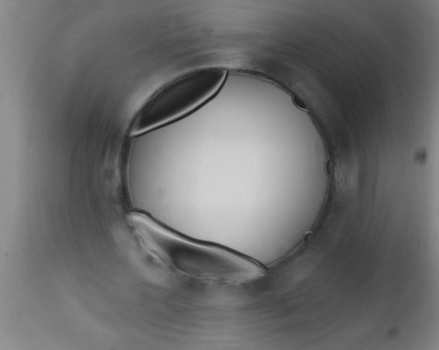 X0000112540532200909071424