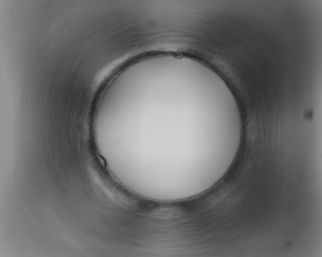 X0000112540536200909071424