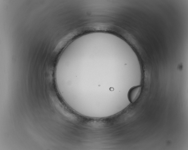 X0000112540537200909071424