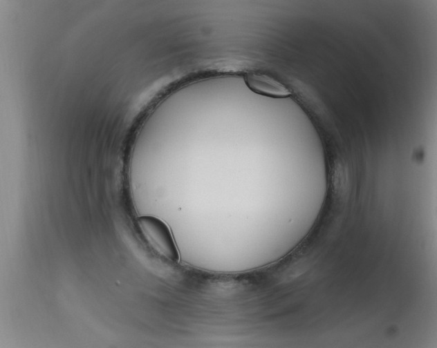 X0000112540540200909071424