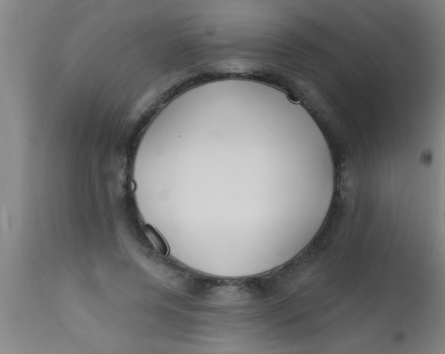 X0000112540544200909071424