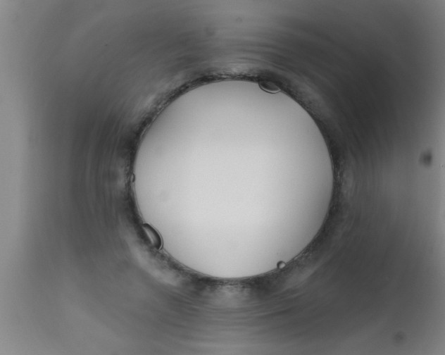 X0000112540546200909071424