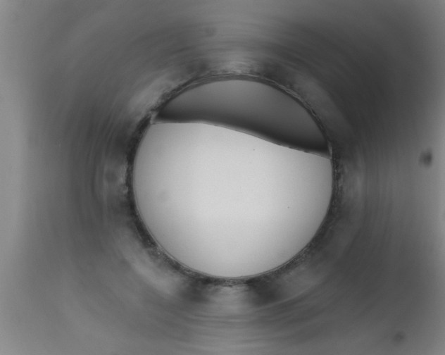 X0000112540548200909071424