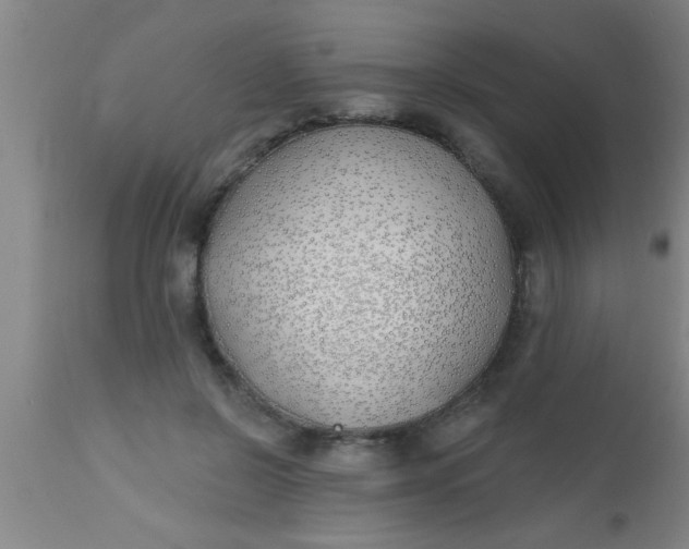X0000112540550200909071424