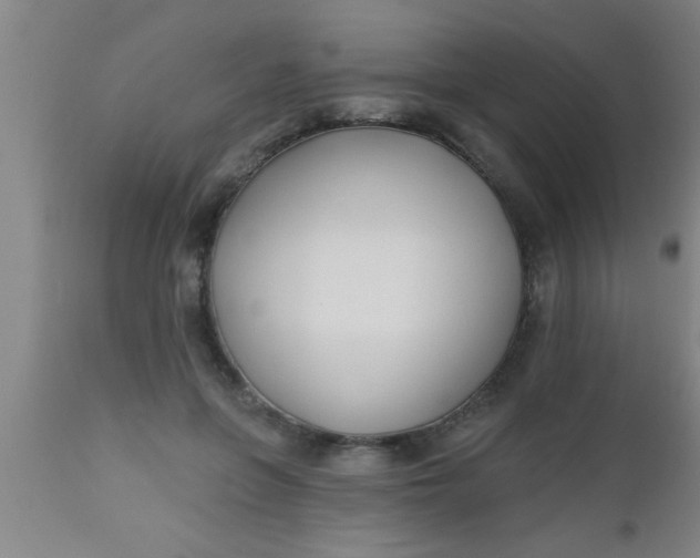 X0000112540551200909071424