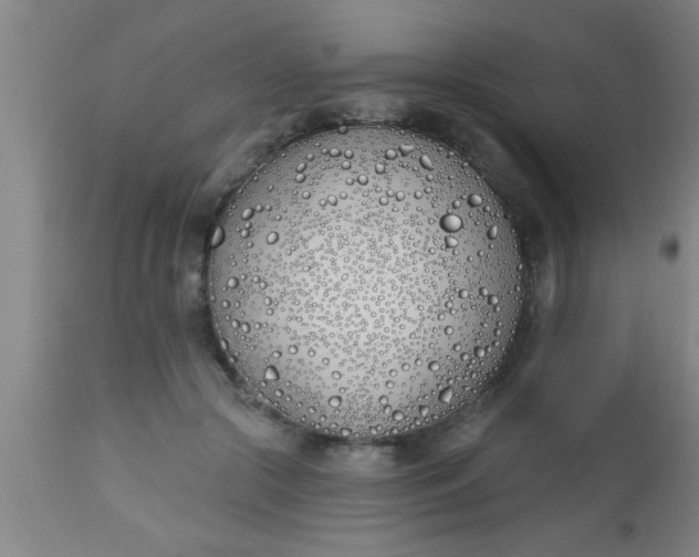 X0000112540553200909071424