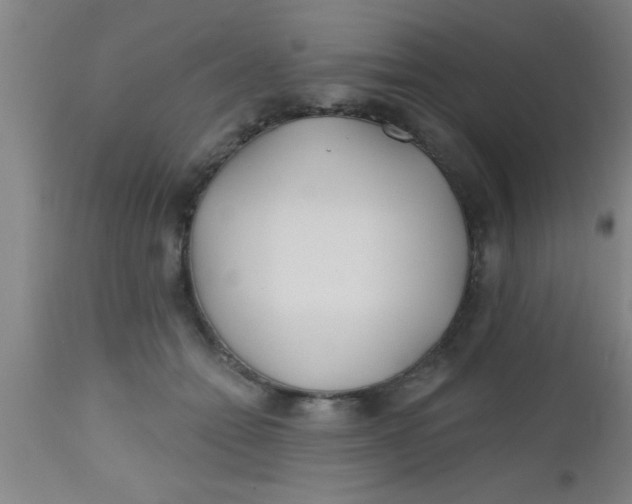 X0000112540558200909071424