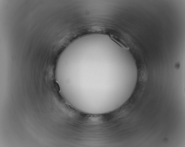 X0000112540560200909071424