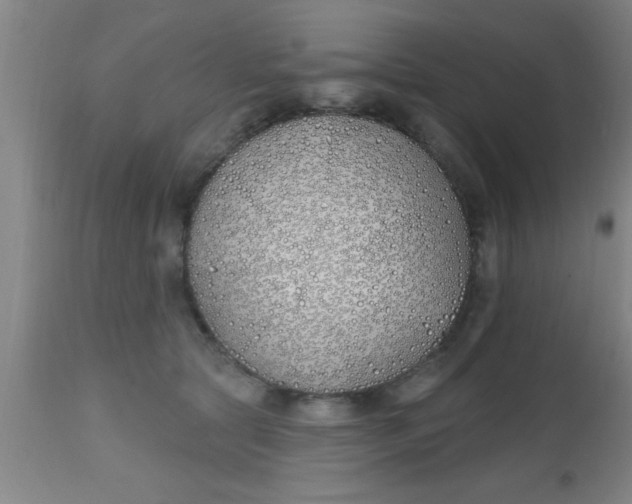 X0000112540561200909071424