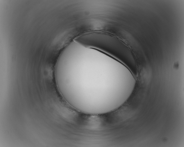 X0000112540562200909071424