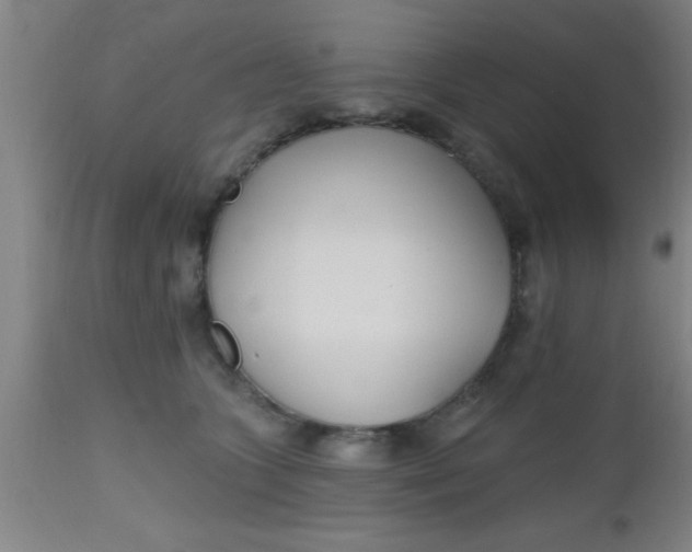 X0000112540563200909071424