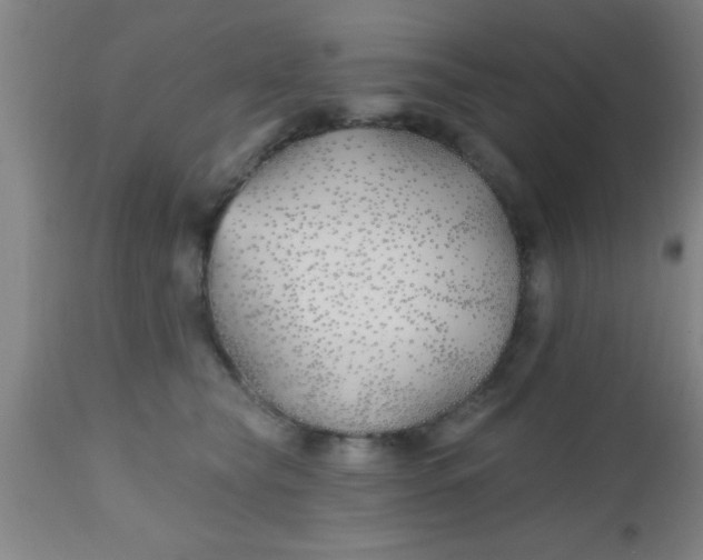 X0000112540565200909071424