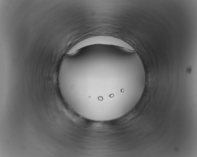 X0000112540568200909071424