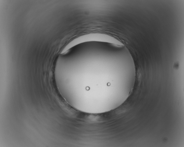 X0000112540570200909071424