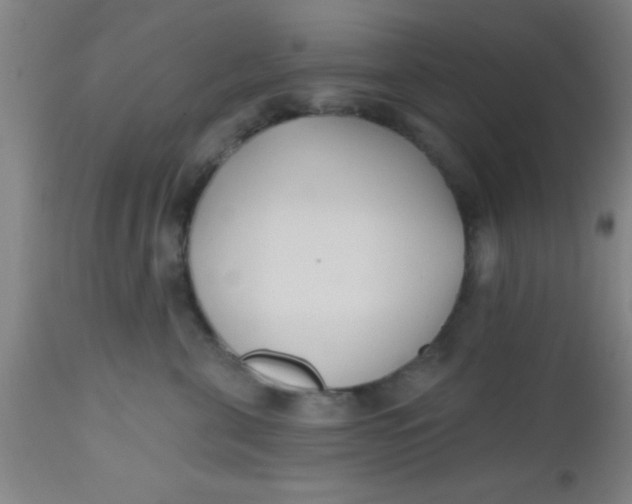 X0000112540571200909071424