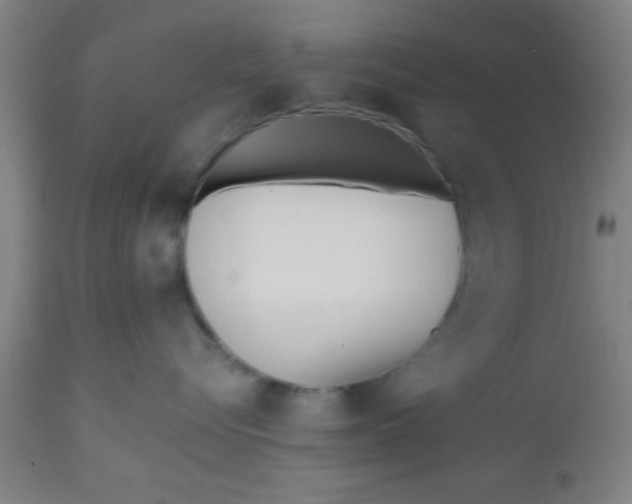 X0000112540576200909071424