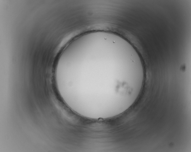 X0000112540578200909071424