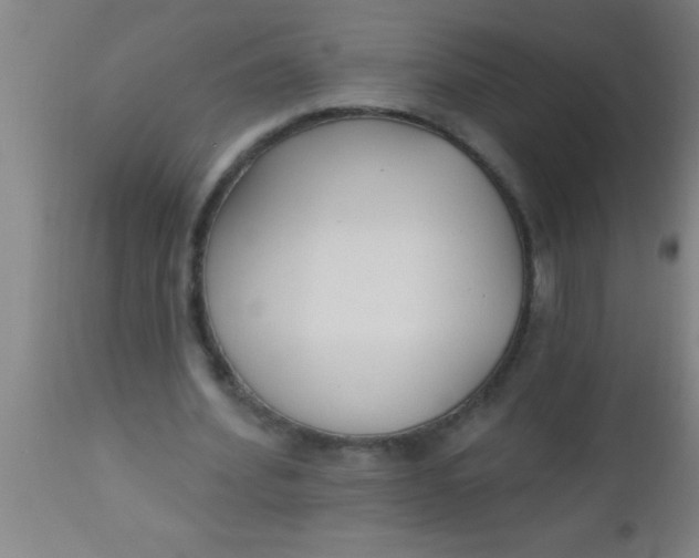 X0000112540580200909071423
