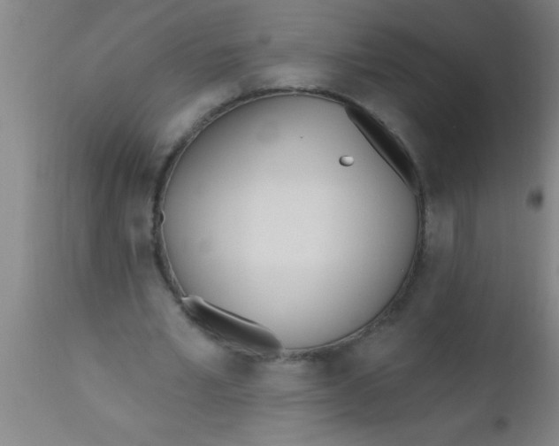 X0000112540581200909071423