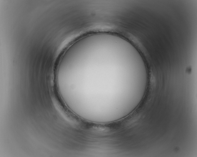 X0000112540582200909071423