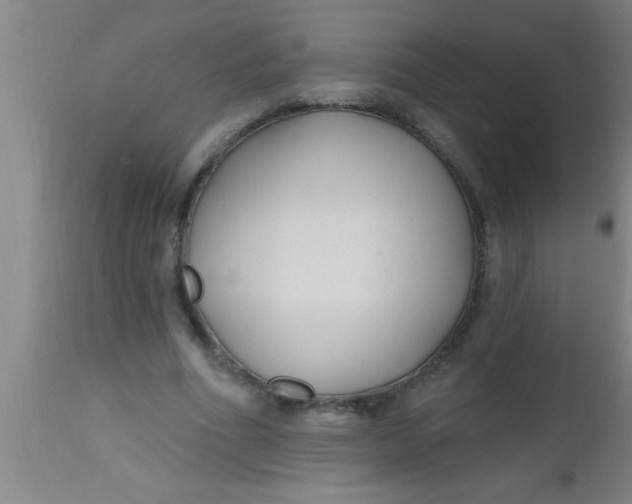 X0000112540586200909071423