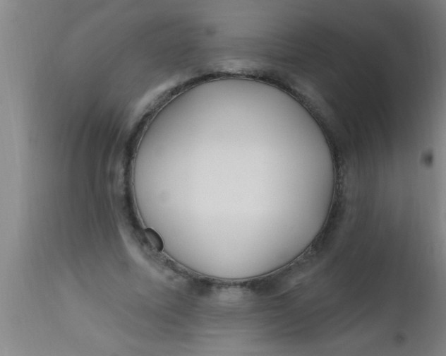 X0000112540587200909071423