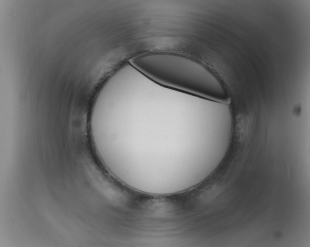X0000112540589200909071423